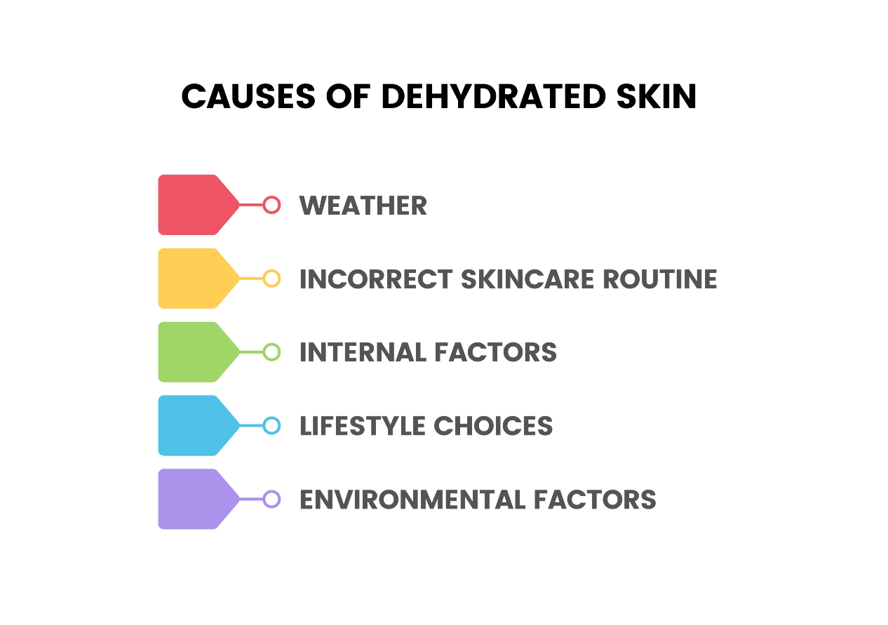 Causes of Dehydrated Skin ​Infographic