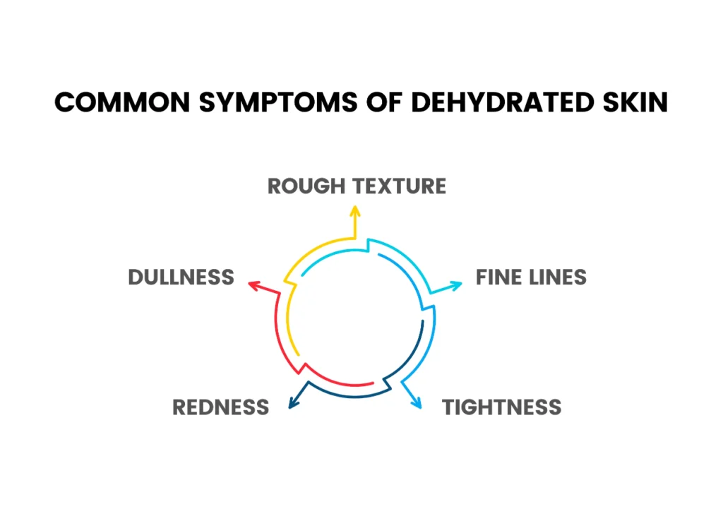 Common Symptoms of Dehydrated Skin​ Infographic