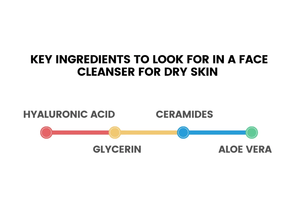 Key Ingredients to Look for in a Face Cleanser for Dry Skin Infographic